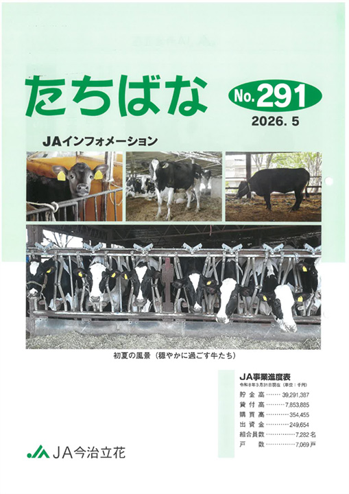 表紙イメージ