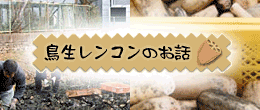 鳥生レンコン