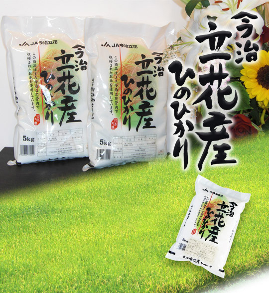 立花産ひのひかり